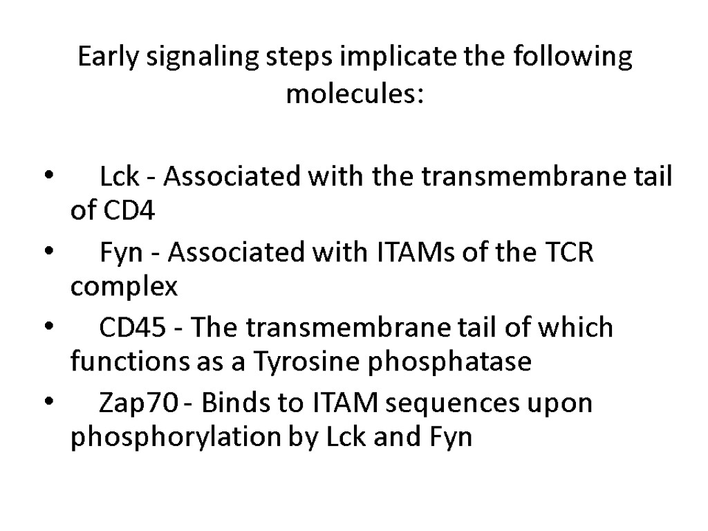 Early signaling steps implicate the following molecules: Lck - Associated with the transmembrane tail